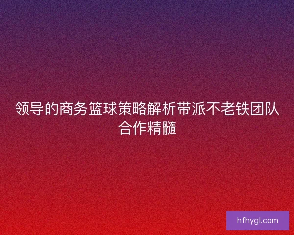 领导的商务篮球策略解析带派不老铁团队合作精髓