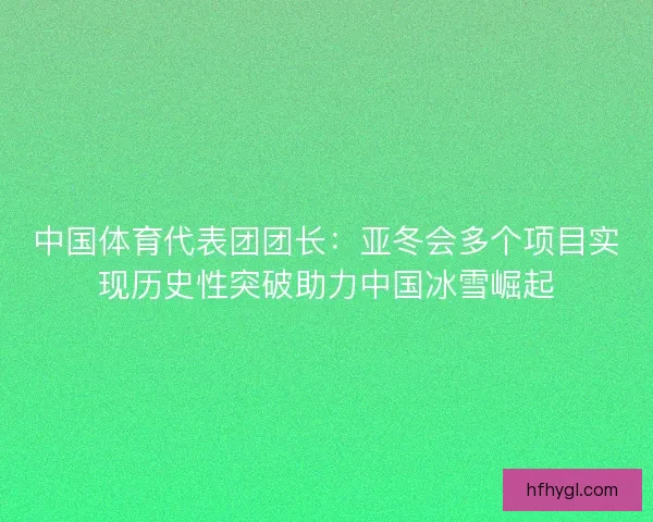 中国体育代表团团长：亚冬会多个项目实现历史性突破助力中国冰雪崛起